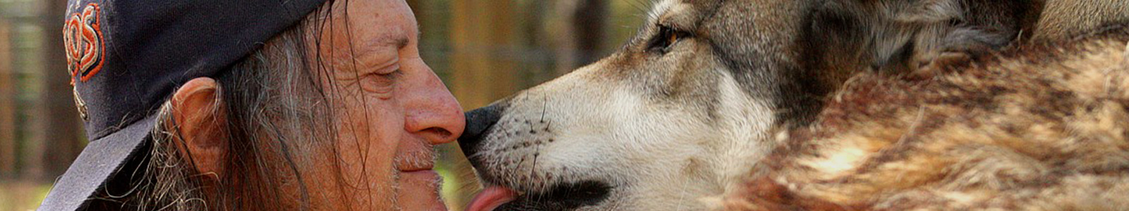 Texas Wolfdog Project Courtesy Listing Header Image